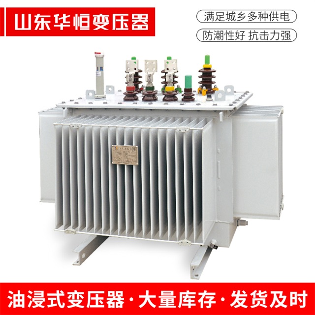 S13-10000/35白朗白朗白朗电力变压器