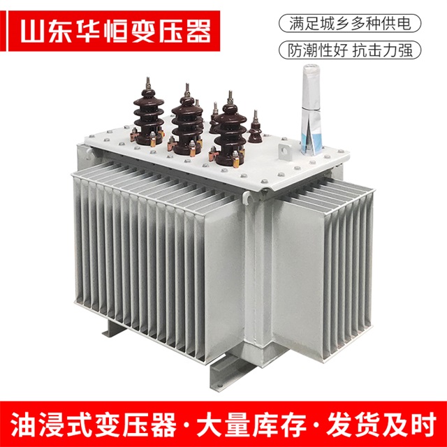 S11-10000/35白朗白朗白朗电力变压器价格